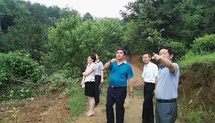 叶蕾走访定点帮扶村.jpg 叶蕾走访定点帮扶村.jpg
